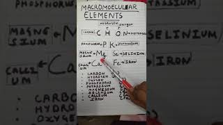 Simple mnemonic for memorising macromolecular elements [upl. by Odey]