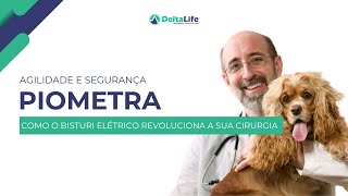 Piometra O que é Diagnóstico e Avanços Tecnológicos na Cirurgia Veterinária [upl. by Jordon]