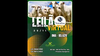 Leilão Virtual e Presencial Nova Era Leilões Frutal  25112024 [upl. by Esdnil]