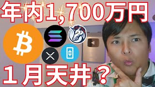 ビットコイン年内1700万円、1月天井？最高値圏でも買い増し加速【仮想通貨 暗号通貨 暗号資産 BTC ETH SOL XRP 1inch THETA 他】 [upl. by Dlarej335]