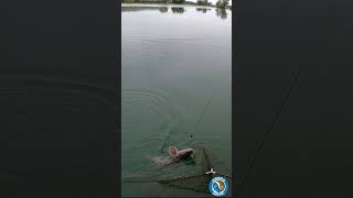 PICCOLO PREISTORICO e ARRABBIATO fishing sturgeon carpfishing [upl. by Warram585]