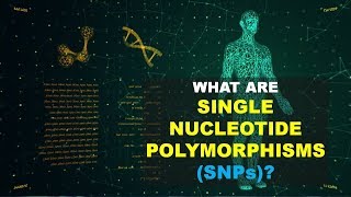 SNPs Single Nucleotide Polymorphism0 Better Explained [upl. by Anigue983]