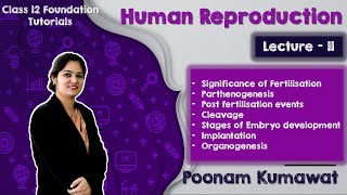 Lecture 11  Cleavage  Stages of Embryo development  Implantation  Organogenesis [upl. by Trojan214]