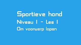 Sportieve hond  Les 1  Links en rechts om voorwerp lopen [upl. by Assennev]