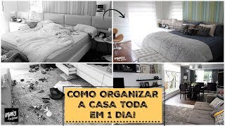 COMO ORGANIZAR A CASA TODA EM APENAS 1 DIA  Organize sem Frescuras [upl. by Aram]