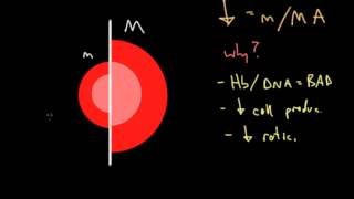 Clinical Approach to Anemia [upl. by Cenac]