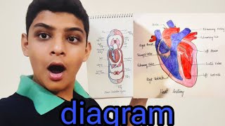 diagram banaa Li🎨🖼 vlog 318 [upl. by Yates]