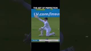 JIMMY ANDERSON🥶 THE ART OF PERFECTION 🤫 shorts trending [upl. by Elijah]