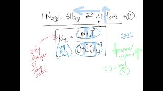 The Equilibrium Constant [upl. by Hampton]