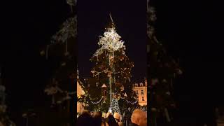 Prague Christmas Market Tree [upl. by Uttica]