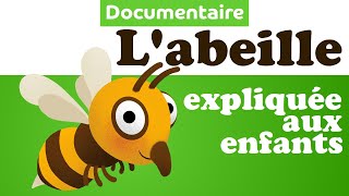 Pourquoi labeille fait du miel  🐝 Documentaire animalier pour enfant de maternelle [upl. by Paulie]