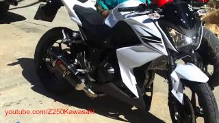 Akrapovic Carbon Exhaust SLIP ON For Kawasaki Z250 HD [upl. by Ohara499]