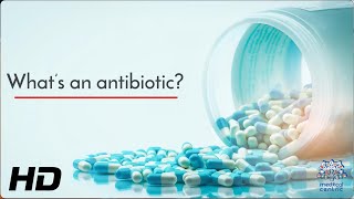 The Science of Antibiotics How They Work and Why They Matter [upl. by Nellac60]