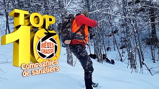 Top 10 Rêves De Chasse n°13  Novembre 2023  Edition spéciale quotCompagnies de Sangliersquot [upl. by Orr819]