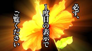 １度目の表示で見られた人、おめでとうございます。凄いことが起こります。この動画が目に入ったらすぐ再生してください。嬉しい凄いことが起こります。幸運 金運 [upl. by Reube981]