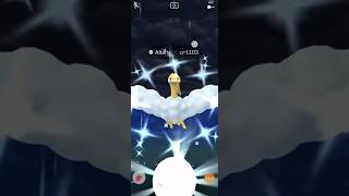 Getting Lucky With ✨Shiny Mega Altaria Raid in pokemongo [upl. by Alamaj368]