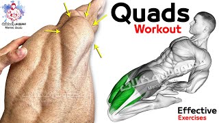 6 Easy Exercises Quadriceps Workout  Leg Day [upl. by Roche]