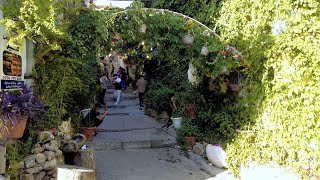 Akre city walking tour and amazing view of this small city in north of iraq جولة داخل مدينة عقرة [upl. by Alahc]