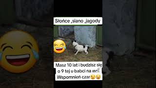 smiesznepodlasie tv1 news film bialystok humorfunny comedyśmieszne news memes uk [upl. by Ahsar399]