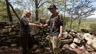 Snake IN Wall at Jimmys  Stone Wall Site  Springfield VT [upl. by Nerral]