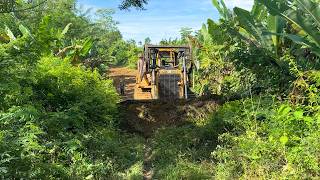 Excellent job CAT D6R XL bulldozer operator working to smooth plantation road [upl. by Dolph]