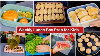 Meal Preparations for Busy Moms  Kids Healthy Lunch Box Ideas  Kids Lunch Box Preparations vlog [upl. by Clauddetta228]