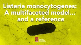 Listeria monocytogenes A multifaceted model and a reference by Pascale Cossart PhD [upl. by Saito]