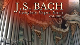 JS Bach Complete Organ Music Vol 3 [upl. by Doralia]