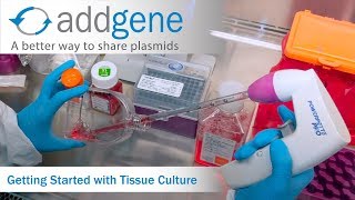 Getting Started with Tissue Culture [upl. by Htebazil]