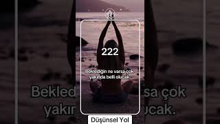 222 Angel 432hz 777 meditasyon pozitifenerji enerji bollukmeditasyon tarot sevgi meditasyon [upl. by Airehc]