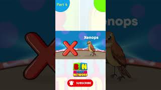 Letter start with X Words Unraveling the Extraordinary World of the Letter X Fun  Learning for Kids [upl. by Fechter]