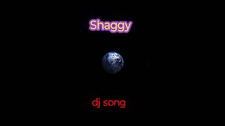 Shaggy DJ song copyright free video shaggy songs life is one big party djremix party shaggy dj [upl. by Duston821]