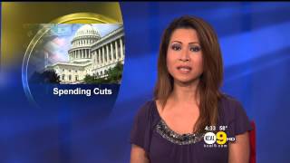 Leyna Nguyen 20130206 KCAL9 HD [upl. by Duggan449]