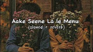 Aake Seene La le Menu slowed reverb sad song 😩🥺💔💔🥺😔 [upl. by Lednor]