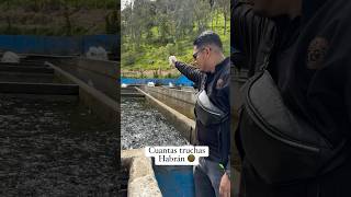 Cuantas truchas habrán shortviral maduro yacasivenezuela [upl. by Aititel]