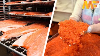 Amazing Salmon Egg Harvesting amp Salmon Caviar Making ProcessSalmon Processing FactoryModern Farm76 [upl. by Waylon]