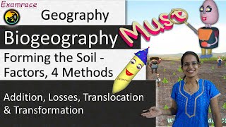 Forming the Soil  Factors 4 Methods and 13 Types Dr Manishika  Examrace [upl. by Kerr]