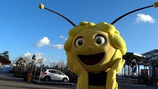 Meet amp greet with maya the bee  Mayaland Plopsaland De Panne 10122014 [upl. by Culosio]