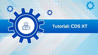 Tutorial CDS XT Setup [upl. by Justen965]