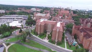 Florida State UniversityStudy in USA with scholarship [upl. by Nalaf718]