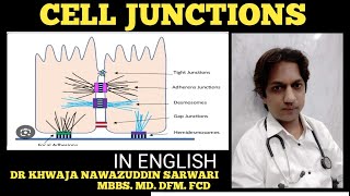 Cell Junctions  Physiology  In English tightjunction cellconnection physiology Doctors Corner [upl. by Elyn326]