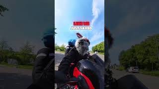 Instant Biker Friendship  MidRide Fist Bump  kwatshmoto motovlogger [upl. by Juditha]