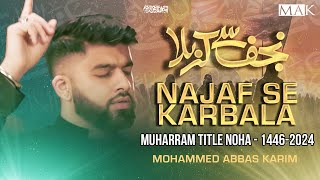 Arbaeen Noha 2024  NAJAF SE KARBALA  Arbaeen Walk  Mohammed Abbas Karim Muharram Nohay 20241446 [upl. by Sello]