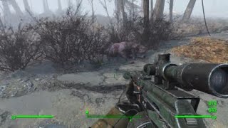 Radstags always overreacting when they die smh Fallout 4 [upl. by Fauver]