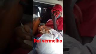 Rei Vermelho o Kudurista [upl. by Japheth]