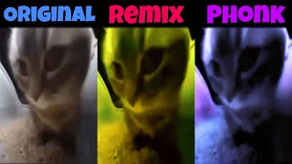 Chipi Chipi Chapa Chapa Original vs Phonk vs Remix [upl. by Pernas]