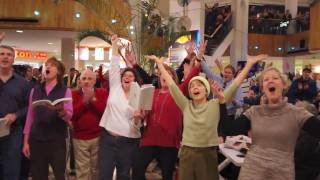 Flash Mob Holyoke Mall 121710 Commonwealth Opera [upl. by Davidson]