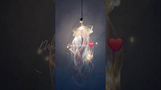 DIY our jelly fish lantern [upl. by Osicnarf]