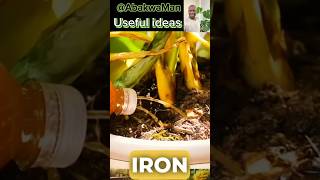 Simple Garden and conservation ideas shorts plants garden orto gardeningtips vegetables green [upl. by Yrolam125]