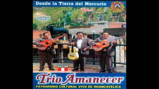 HUAYNOS DE HUANCAVELICA  Mix01 Trio Huancavelica Trio Amanecer Los Soberanos [upl. by Bud]